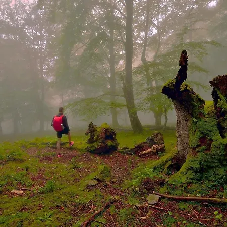 Chalet En La Montana Junto A 2 Rios En Cantabria 아파트 *