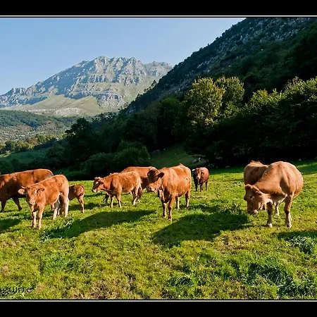 Chalet En La Montana Junto A 2 Rios En Cantabria *